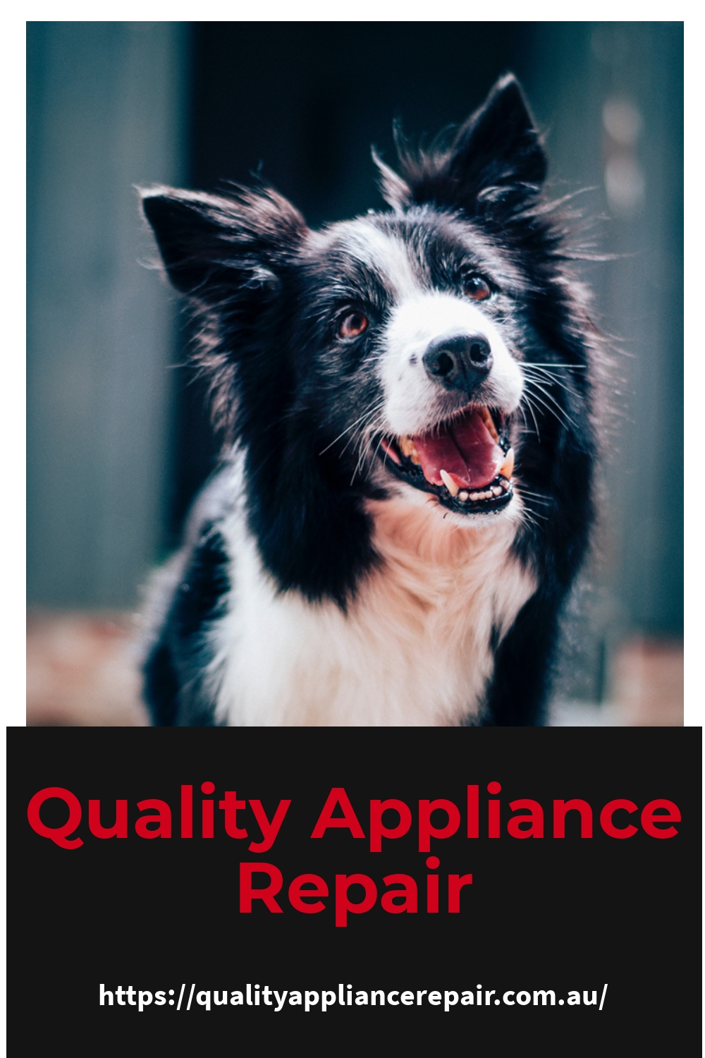 Small Appliance Repairs Brisbane Same Day Repair 3 Month Warranty